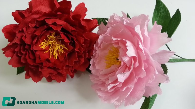 lam-hoa-bang-giay-nhun-10