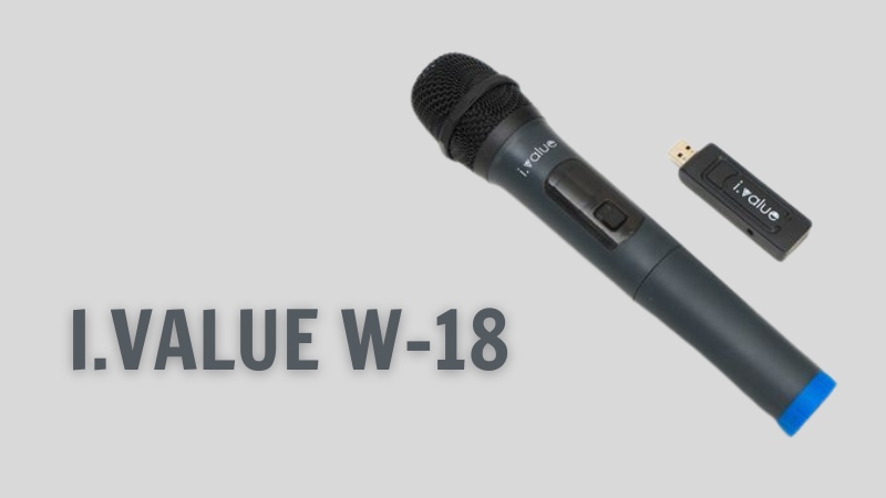 micro-khong-day-hat-karaoke-hay-nhat-hien-nay-5