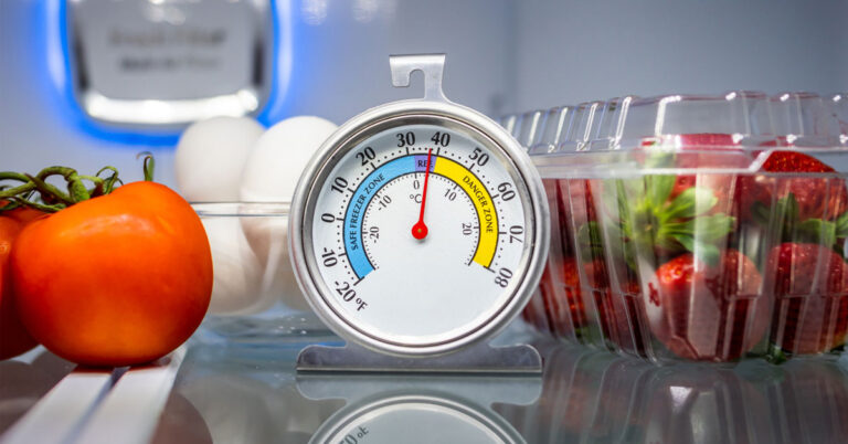 ngan-mat-tu-lanh-bao-nhieu-do