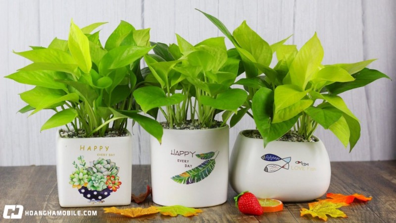 30-mon-qua-luu-niem-y-nghia-doc-dao-tang-cho-nhieu-doi-tuong-7