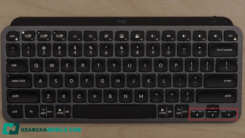 Trinh-Chieu-Powerpoint-11