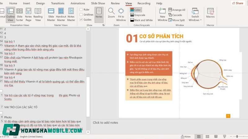 Trinh-Chieu-Powerpoint-3