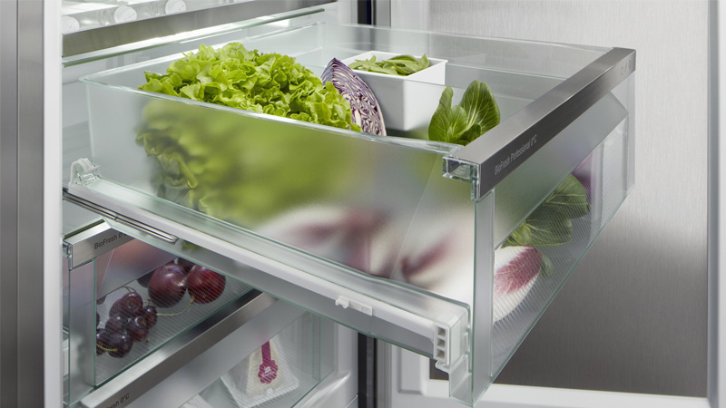 tu-lanh-co-ngan-dong-mem-2