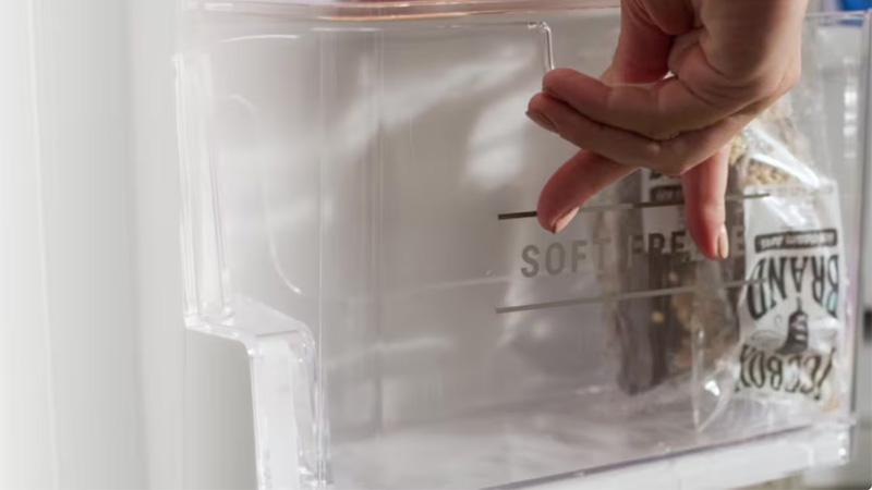 tu-lanh-co-ngan-dong-mem-3