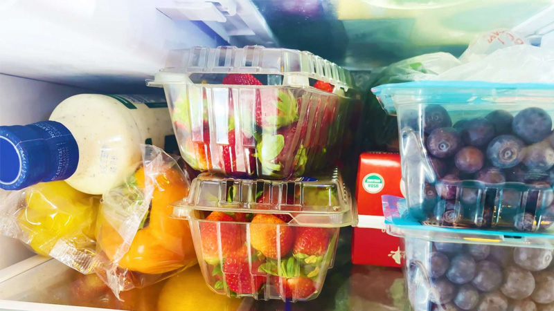 tu-lanh-co-ngan-dong-mem-4