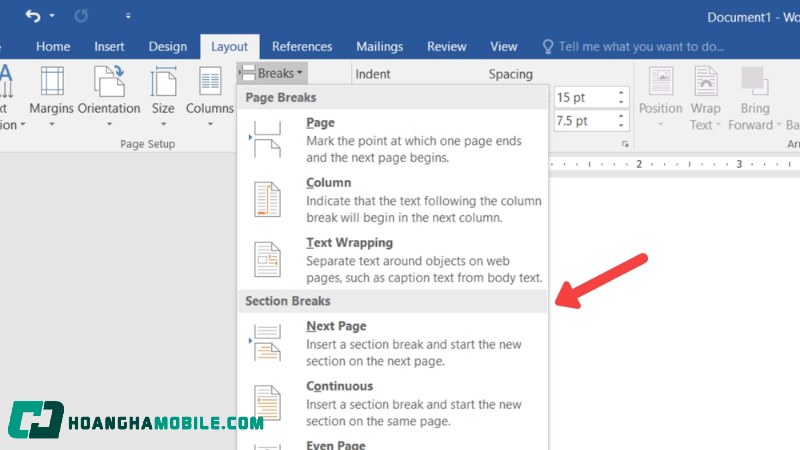 bo-danh-so-trang-trong-word-17