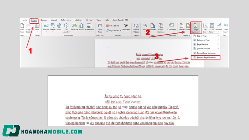 bo-danh-so-trang-trong-word-3