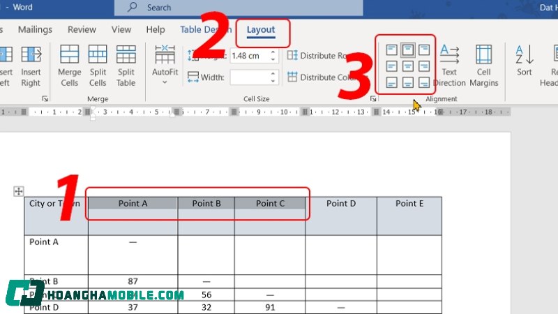 cach-chinh-kich-thuoc-bang-trong-word-2010-3