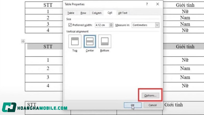 cach-chinh-kich-thuoc-bang-trong-word-2010-7