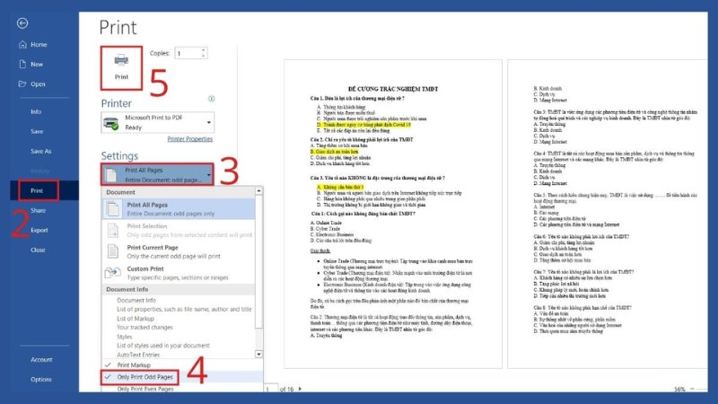 cach-in-2-mat-tren-may-tinh-trong-word-pdf-excel-de-hieu-ai-cung-lam-duoc-11