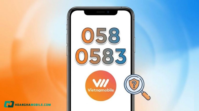 dau-so-058-la-mang-gi-06