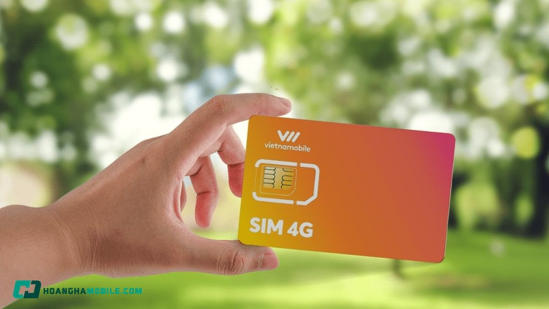 dau-so-058-la-mang-gi-10