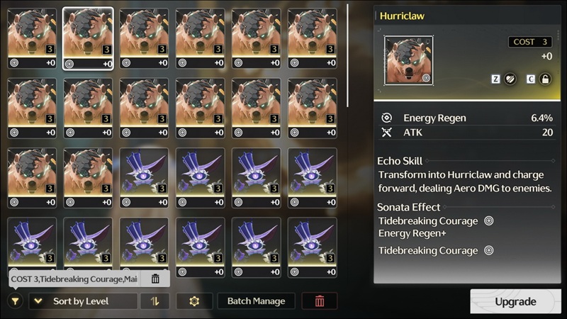 echo-tot-wuthering-waves-3