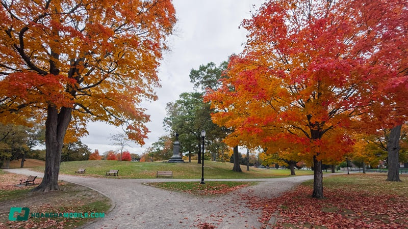 hinh-iphone-17-pro-max-29