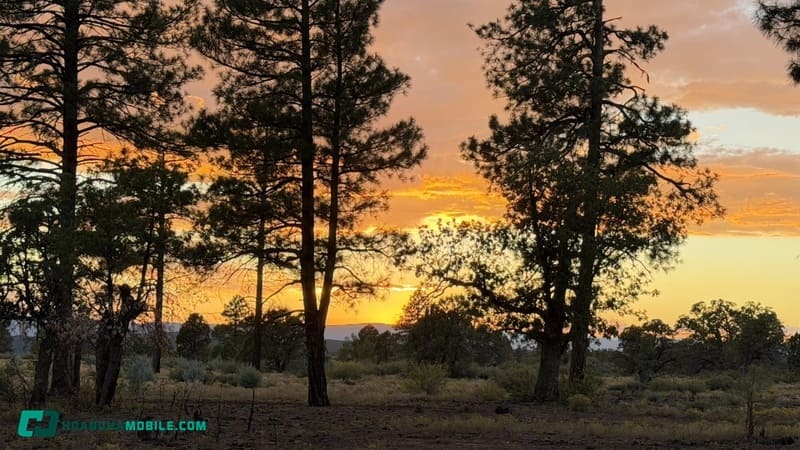 hinh-iphone-17-pro-max-33