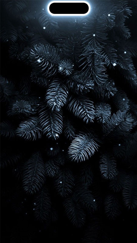 hinh-nen-iphone-15-pro-max-4k-dep-28