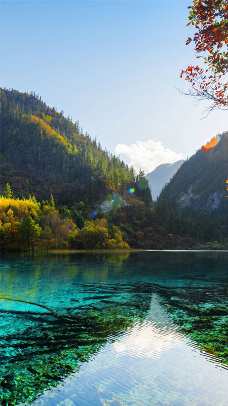 hinh-nen-iphone-15-pro-max-4k-dep-35