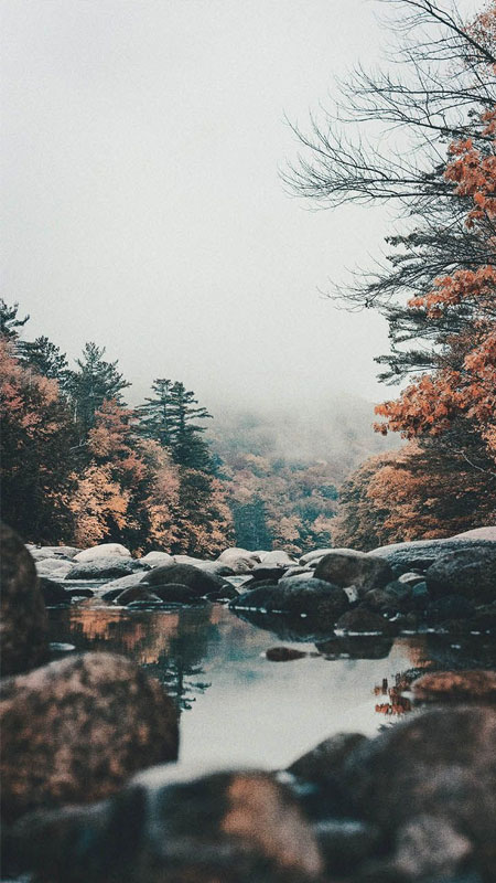 hinh-nen-iphone-16-29