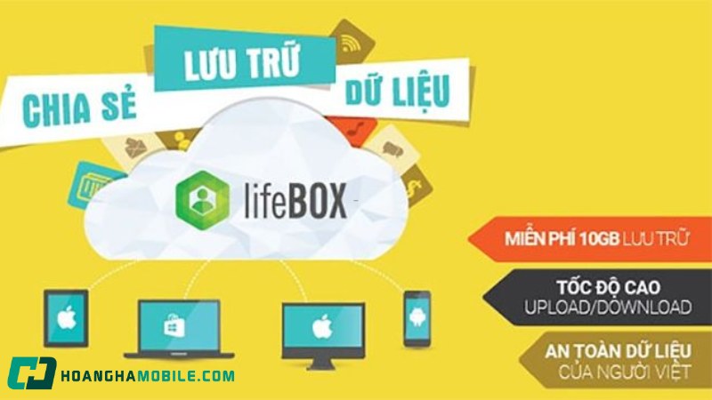lifebox-2