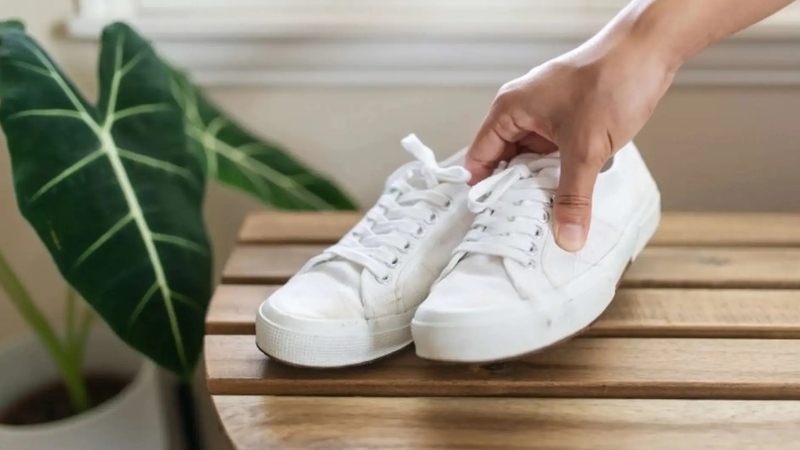 meo-vat-cuoc-song-11