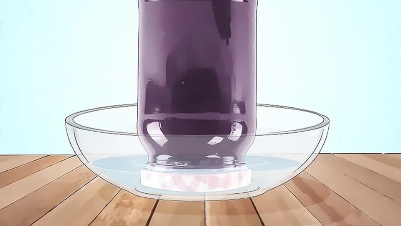 meo-vat-cuoc-song-15