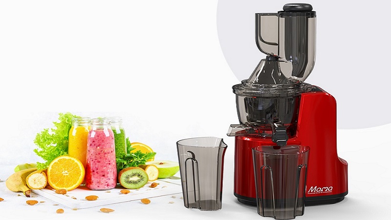 nen-mua-may-ep-trai-cay-loai-nao-10