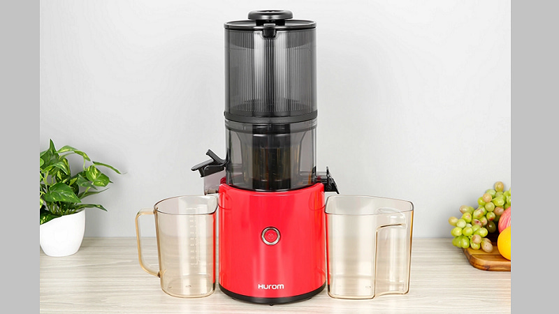 nen-mua-may-ep-trai-cay-loai-nao-11