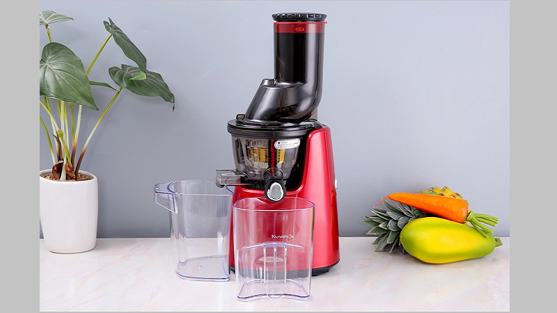 nen-mua-may-ep-trai-cay-loai-nao-12