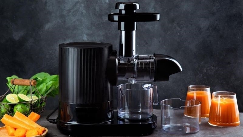 nen-mua-may-ep-trai-cay-loai-nao-4