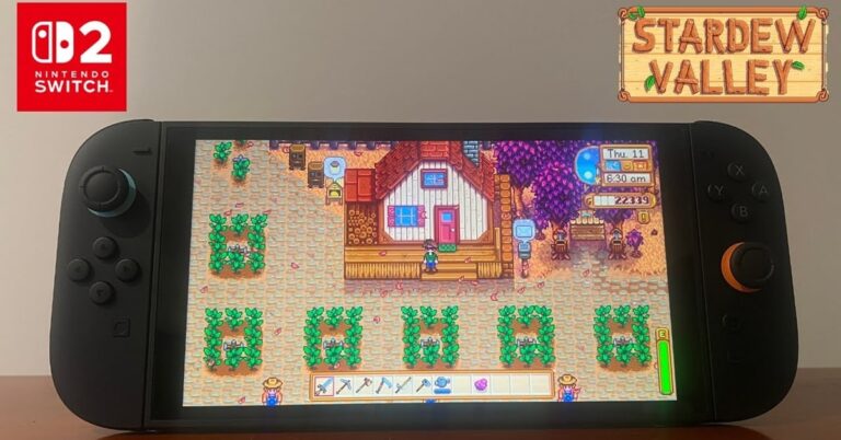 stardew-valley-nintendo-switch-2-thumb