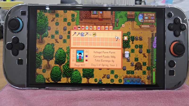 stardew-valley-nintendo-switch-2