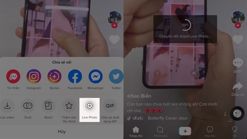 Tai-Video-Tiktok-Khong-Logo-Tren-Iphone-11