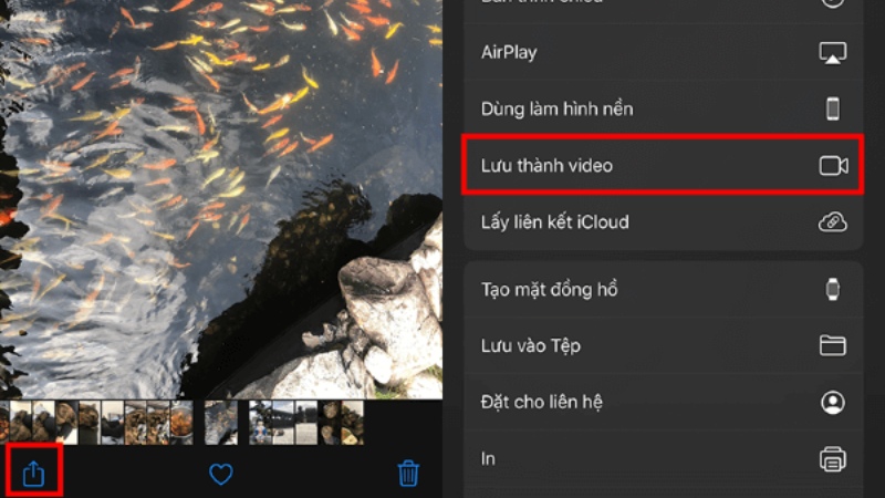 Tai-Video-Tiktok-Khong-Logo-Tren-Iphone-12