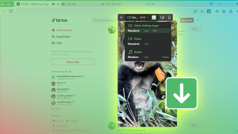 Tai-Video-Tiktok-Khong-Logo-Tren-Iphone-13