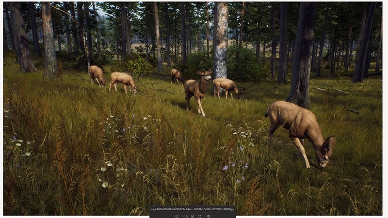 way-of-the-hunter-wild-europe-1