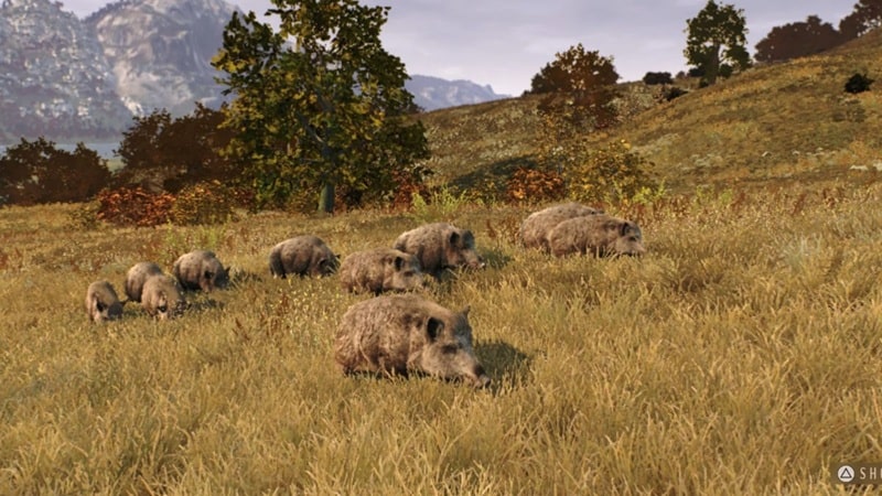 way-of-the-hunter-wild-europe-1