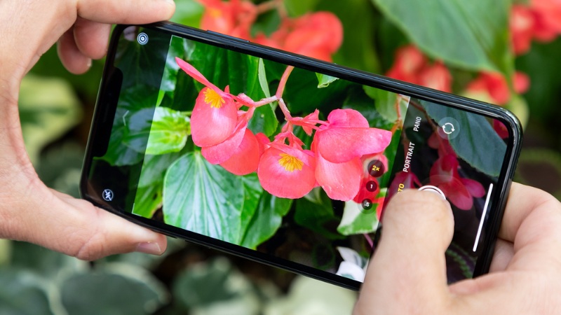 11-Pro-Max-bao-nhieu-inch-11