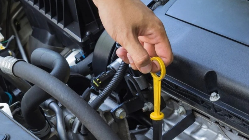 bao-lau-thay-nhot-1-lan-7