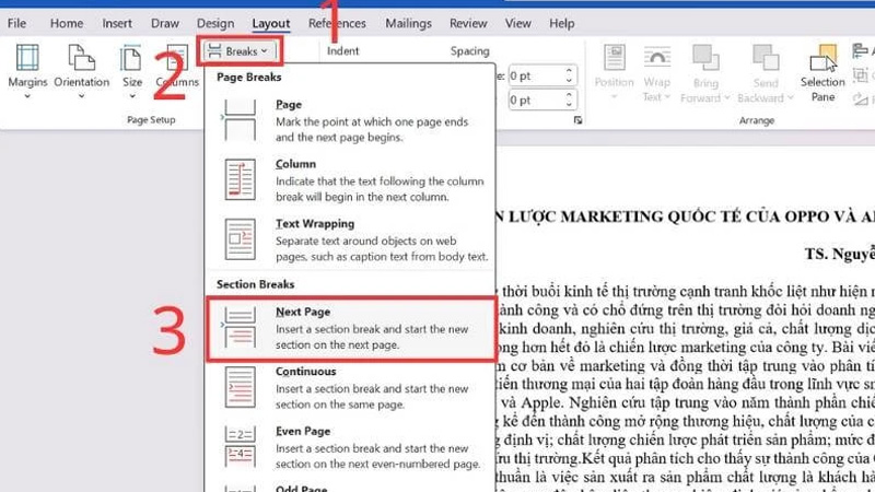 cach-danh-so-trang-bo-2-trang-dau-4