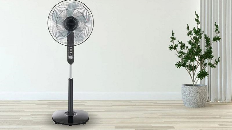 cach-duoi-ruoi-hieu-qua-10