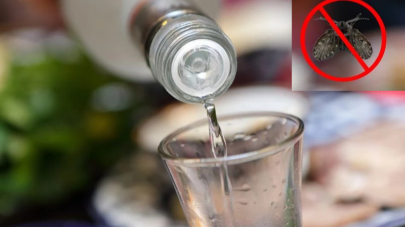 cach-duoi-ruoi-hieu-qua-11