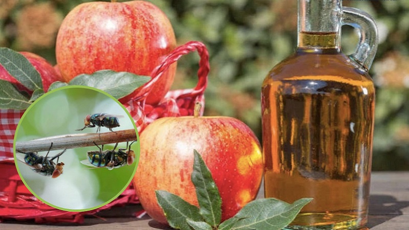 cach-duoi-ruoi-hieu-qua-4