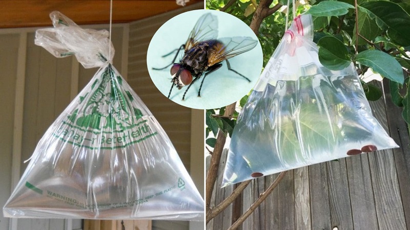 cach-duoi-ruoi-hieu-qua-7