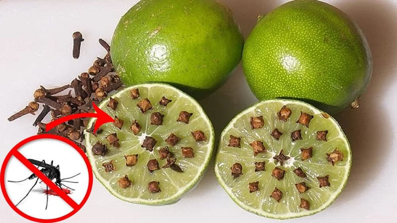 cach-duoi-ruoi-hieu-qua-8