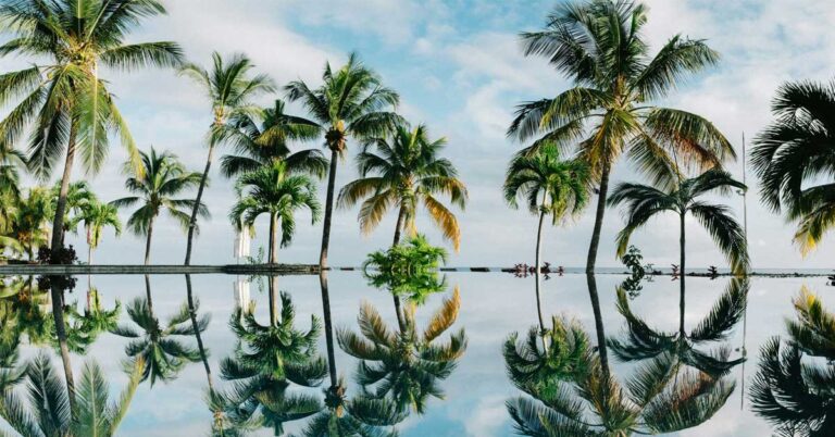 hinh-nen-dien-thoai-iphone