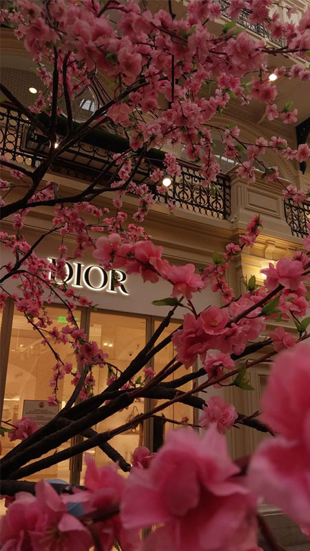 hinh-nen-iphone-13-31