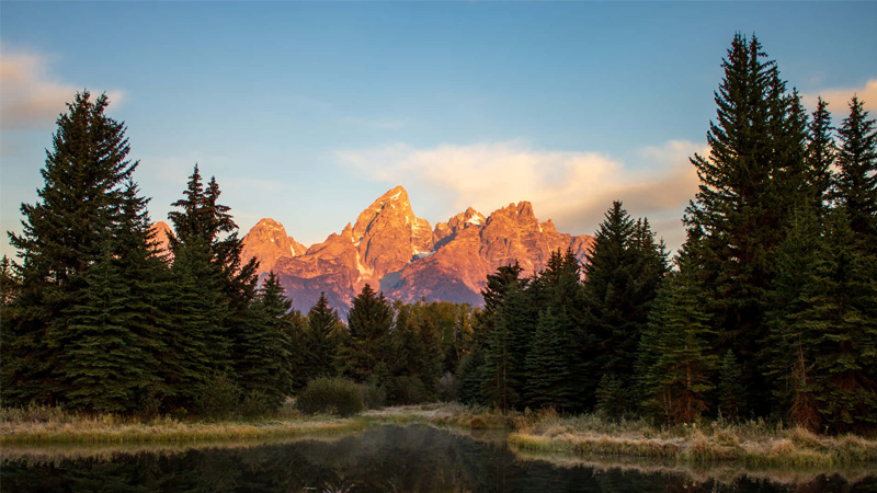 hinh-nen-iphone-14-pro-max-31