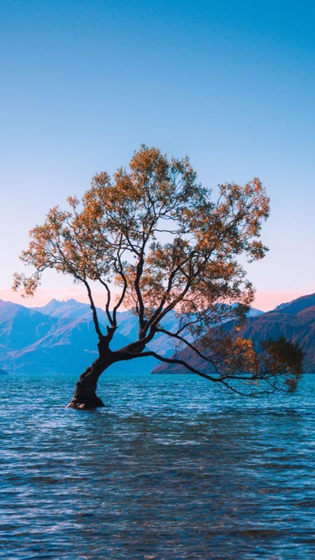 Hinh-Nen-Iphone-15-Pro-Max-24