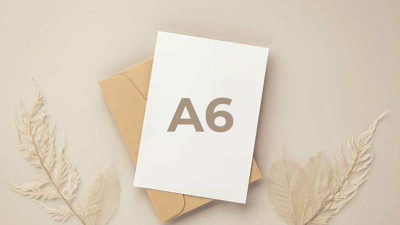 Kich-Thuoc-Giay-A6-2