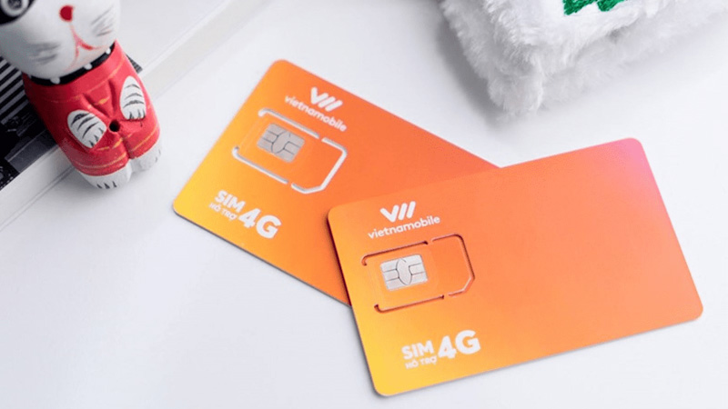 kiem-tra-sim-chinh-chu-vina-9